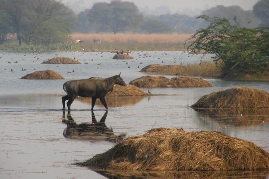 Tour image 7