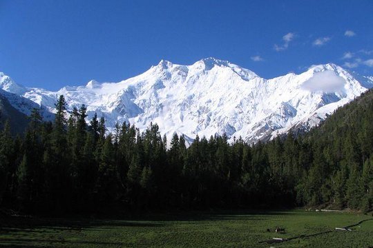 Tour image 4
